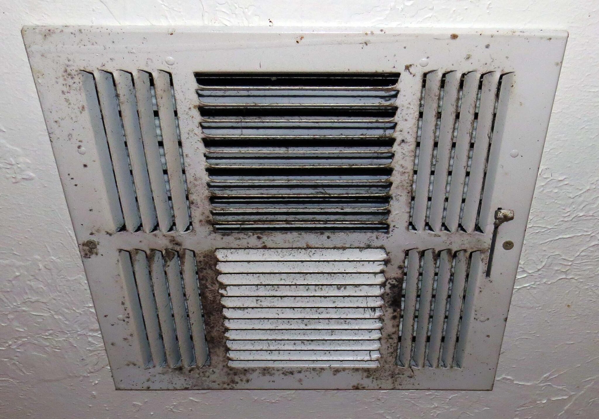 HVAC Moisture Related Issues Texas Home Auditors
